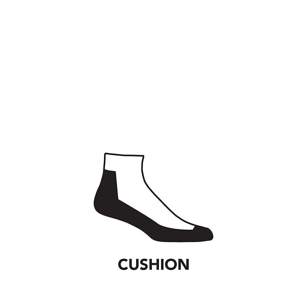 Darn Tough (Style 1959) Men's Hiker Quarter Midweight with Cushion Hiking Sock