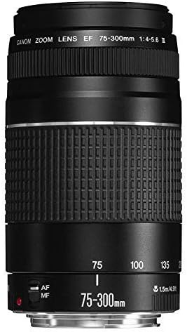 Canon EF 75-300mm f/4-5.6 III Telephoto Zoom Lens (Black)
