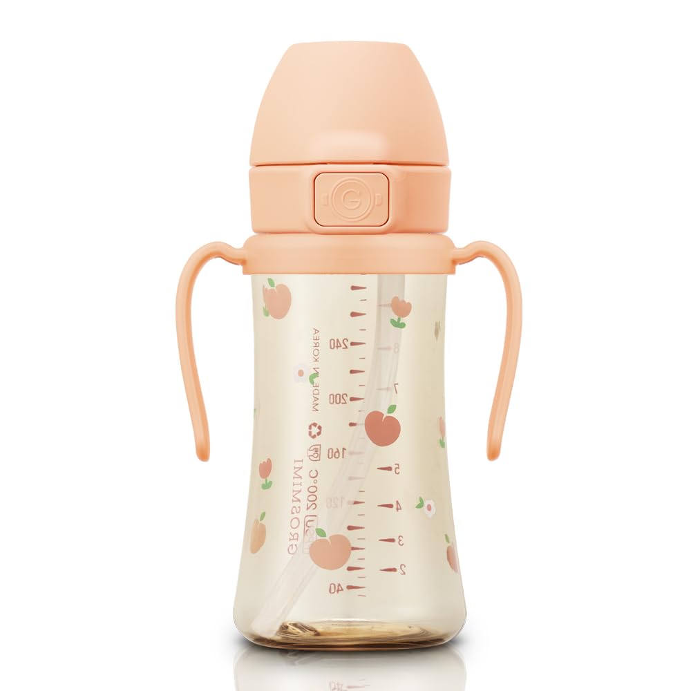 GROSMIMI PPSU Baby Straw Cup Stage 2, 12M+, Spill-Proof, 10oz (Air Balloon)