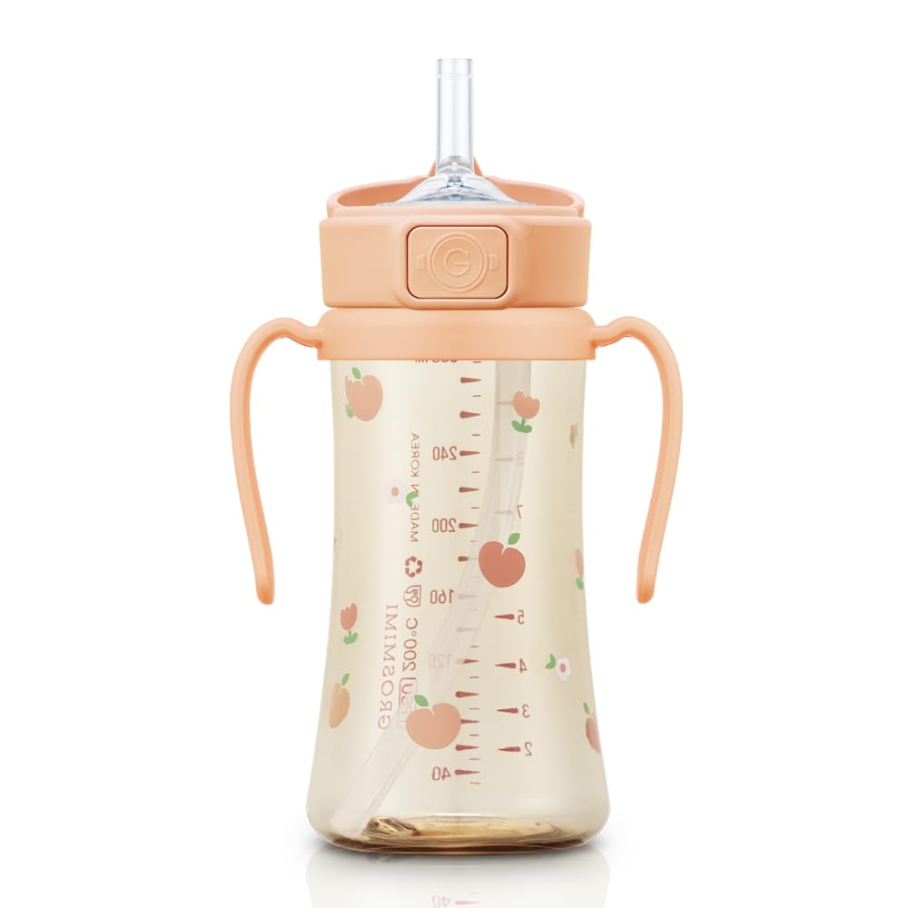 GROSMIMI PPSU Baby Straw Cup Stage 2, 12M+, Spill-Proof, 10oz (Air Balloon)