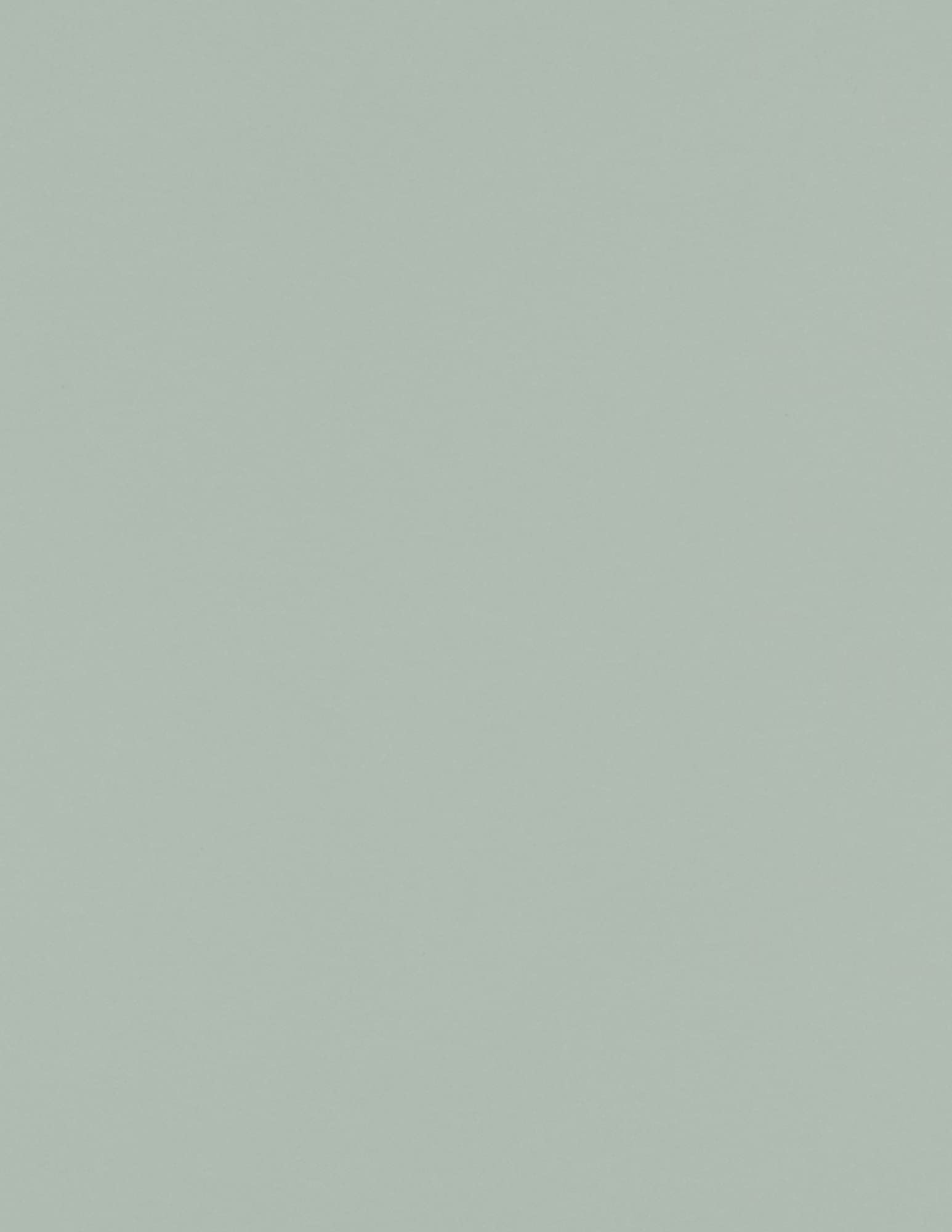 LUXPaper 8.5" x 11" Paper | Letter Size | Avocado Green | 70lb. Text | 250 Qty