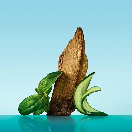 Calvin Klein Eternity Aqua Eau de Toilette for Men - Aquatic fragrance, Top notes: Cucumber, Citrus Cocktail