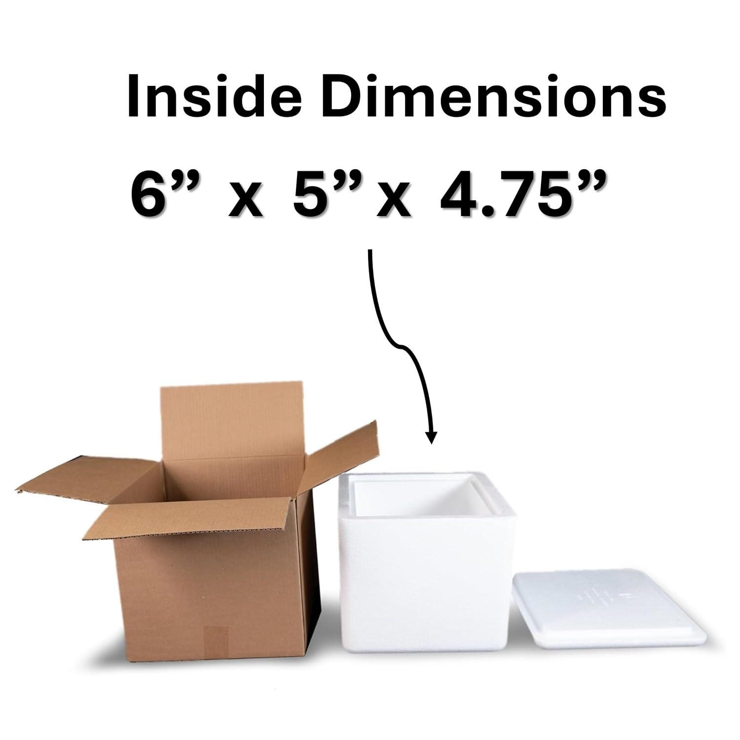 Robin II EPS Foam Cooler (Outside Dimensions: 15” x 13” x 10”) with Shipping Box - 3 Pack, Protective, Thermal, Insulated, Biodegradable, Recyclable, Shipping/Storage
