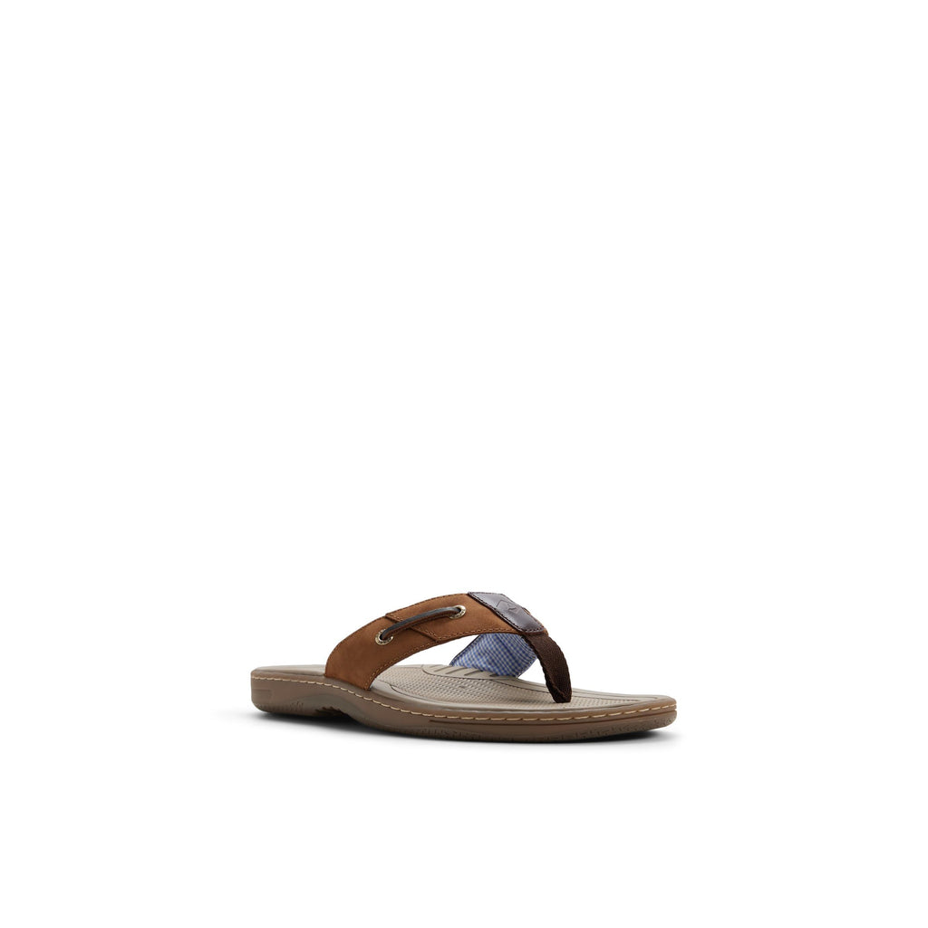 Sperry mens Baitfish ThongSandals