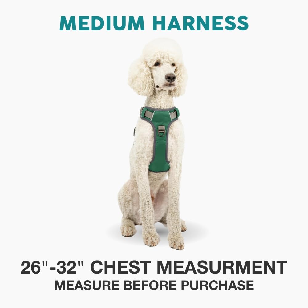 Embark Adventure Dog Harness for Small, Medium & Large Dogs – No Pull, Reflective Trim, Heavy Duty Oxford, 2 Leash Clips, Gel-Lined Handle, Soft Padded