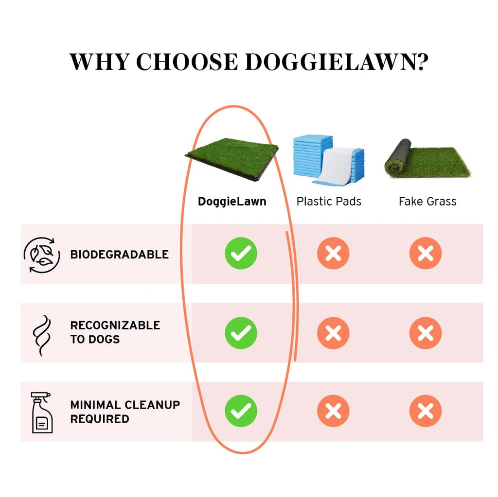 DoggieLawn XL - Real Grass Disposable Potty Training Puppy Pee Pads, Dog Grass Pee Pad, Potty Training Pee Pad, Puppy and Dogs Grass Pee Pads, Puppy Grass Pads, 48 x 24 Inches with Reusable FlexTray