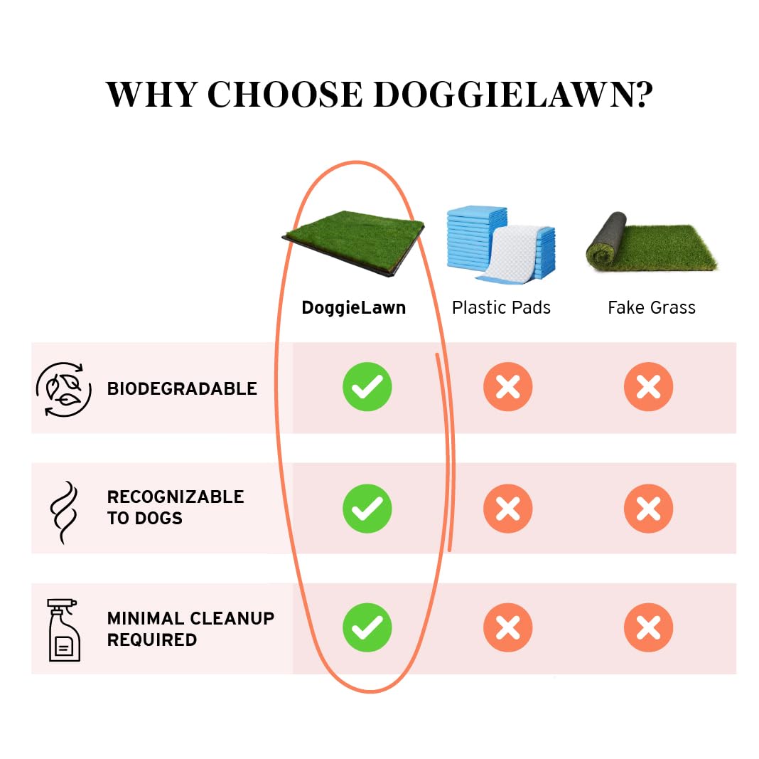 DoggieLawn XL - Real Grass Disposable Potty Training Puppy Pee Pads, Dog Grass Pee Pad, Potty Training Pee Pad, Puppy and Dogs Grass Pee Pads, Puppy Grass Pads, 48 x 24 Inches with Reusable FlexTray