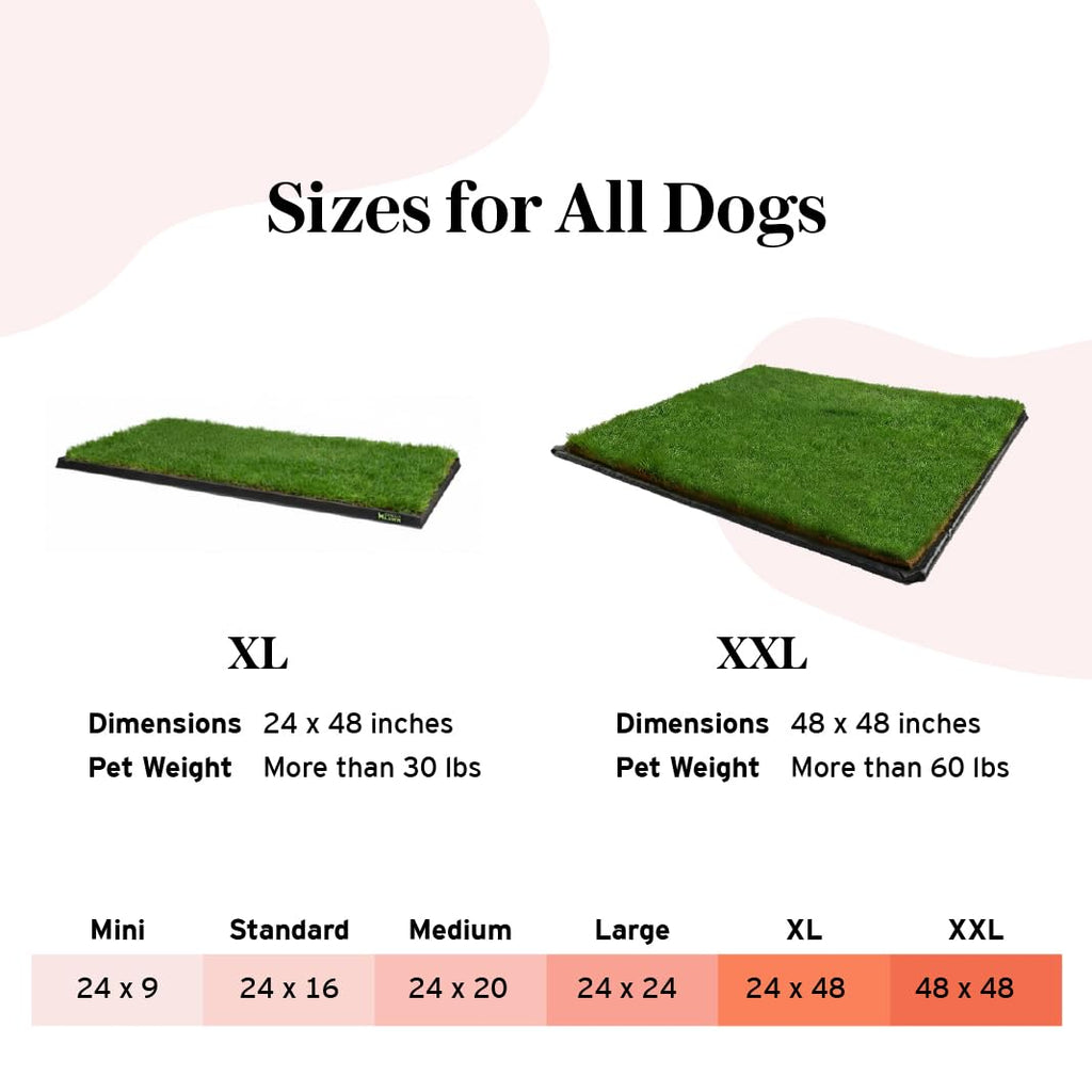 DoggieLawn XL - Real Grass Disposable Potty Training Puppy Pee Pads, Dog Grass Pee Pad, Potty Training Pee Pad, Puppy and Dogs Grass Pee Pads, Puppy Grass Pads, 48 x 24 Inches with Reusable FlexTray