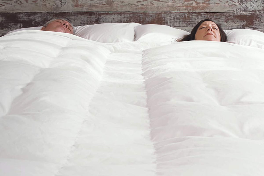 BedJet 3 Climate Comfort for Beds, Cooling Fan + Heating Air Bundle with Cloud Sheet (Queen/Full Size Sheet)