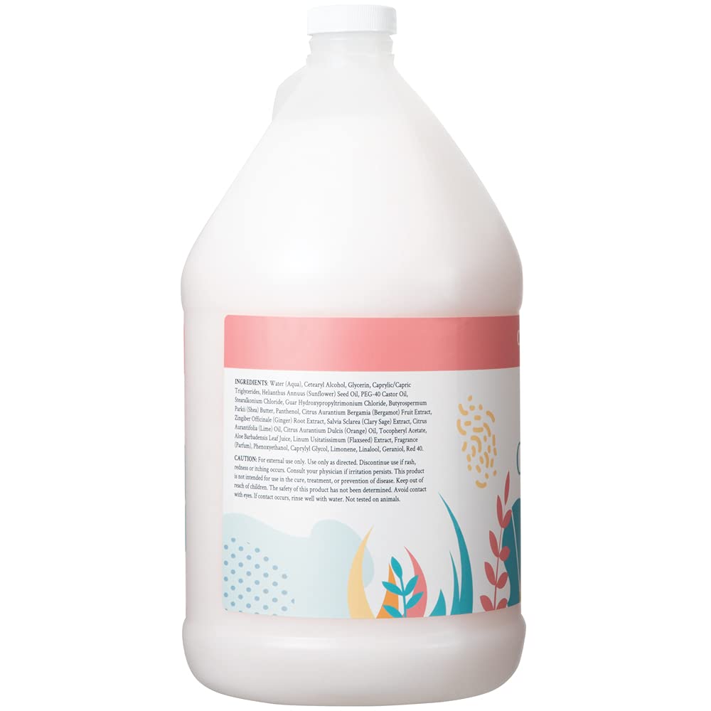 Ginger Lily Farms Botanicals Moisturizing Conditioner for Dry Hair, 100% Vegan & Cruelty-Free, Apple Pear Scent, 1 Gallon Refill (128 fl oz)