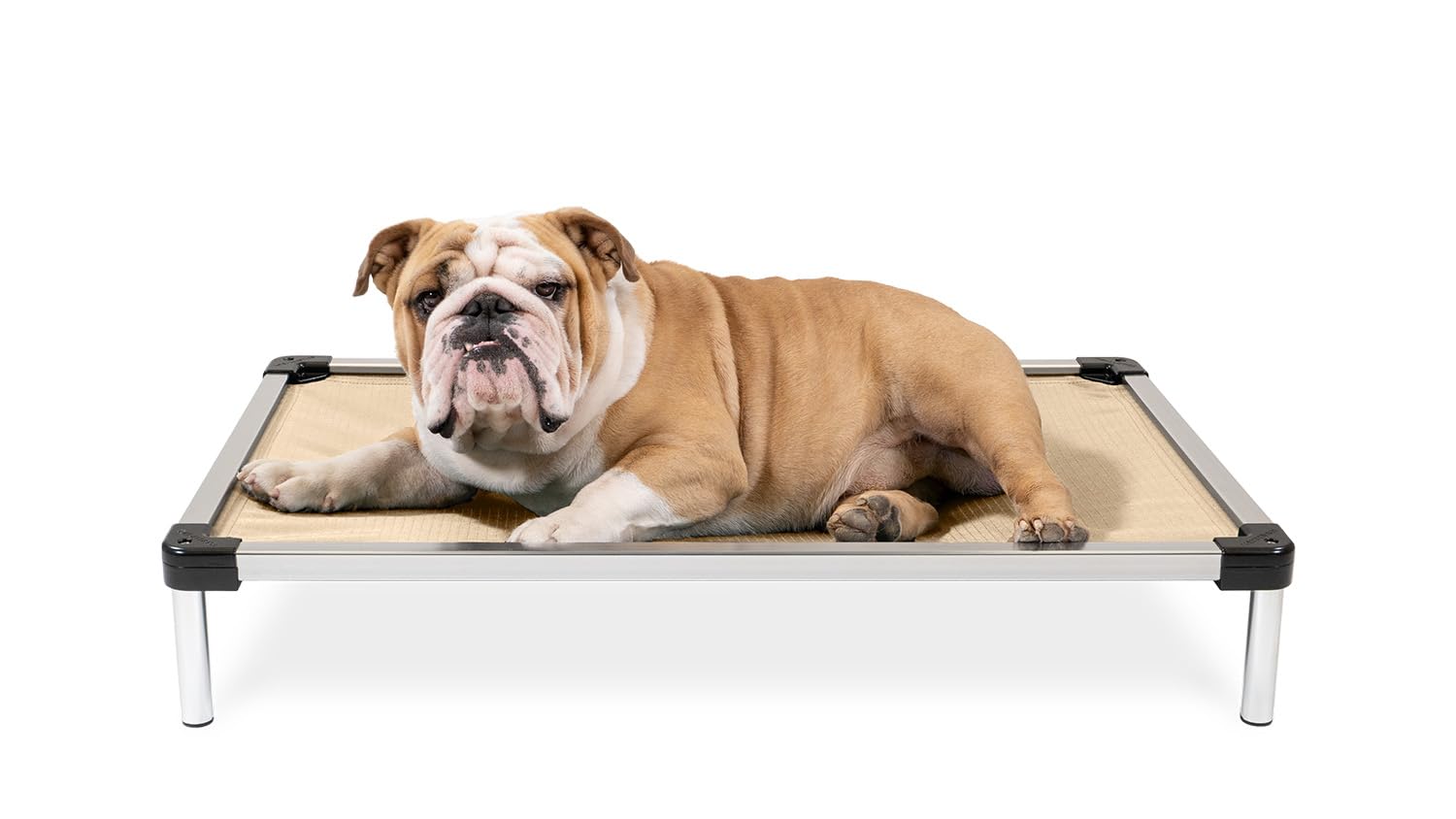 K9 Ballistics Chew Proof Elevated Cooling Outdoor Cot Bed for Small Dogs & Puppies - Virtually Indestructible, Preassembled, Withstands Aggressive Chewers - S, Black Mesh