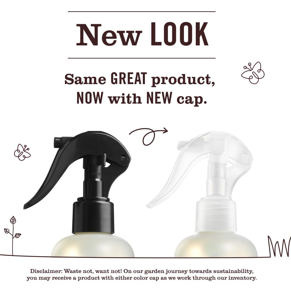MRS. MEYER'S CLEAN DAY Liquid Hand Soap Fall Seasonal Variety, 1 Acorn Spice, 1 Mum, 1 Apple Cider, 1 Lemon Verbena, 1 Basil, 1 Lavender, 12.5 OZ Each, (1 Variety Pack)