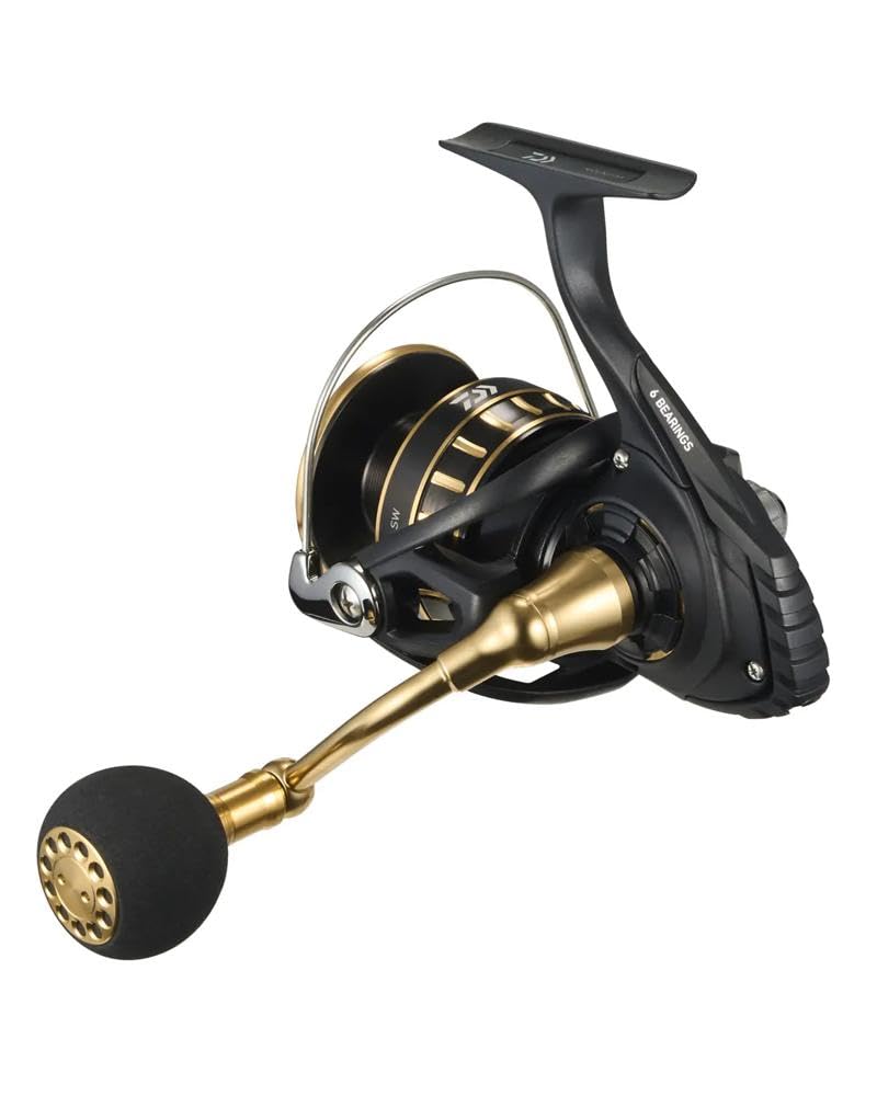 DAIWA Spinning Reel 23BG SW 4000-18000 Various (2023 Model)
