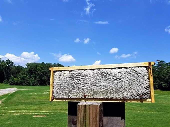 Bee-Quick® Organic-Approved Beekeeper-Only Tool for Honey Harvesting