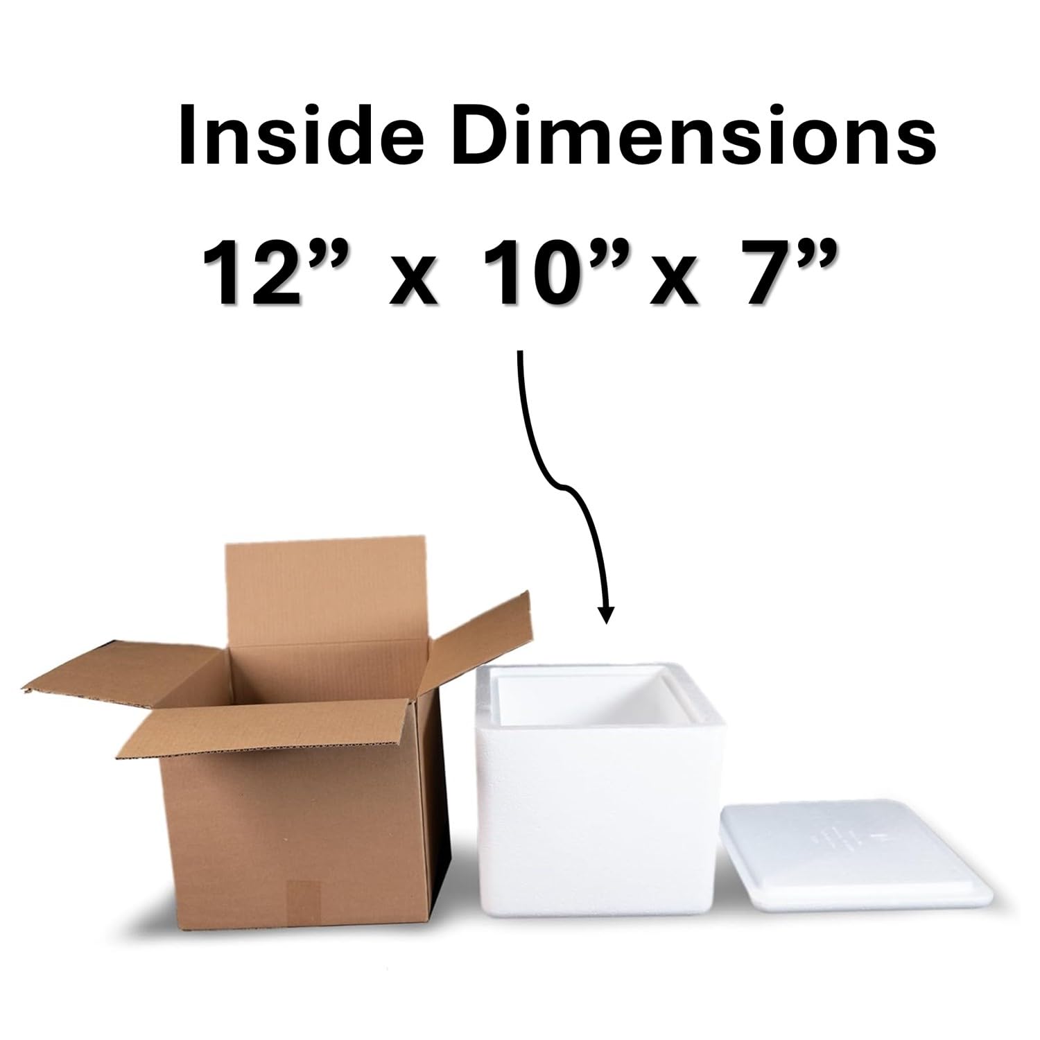 Robin II EPS Foam Cooler (Outside Dimensions: 15” x 13” x 10”) with Shipping Box - 3 Pack, Protective, Thermal, Insulated, Biodegradable, Recyclable, Shipping/Storage