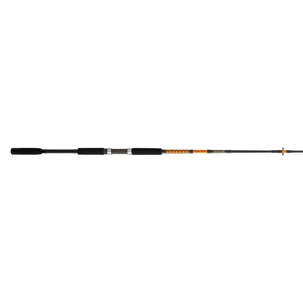 Ugly Stik Bigwater Spinning Fishing Rod
