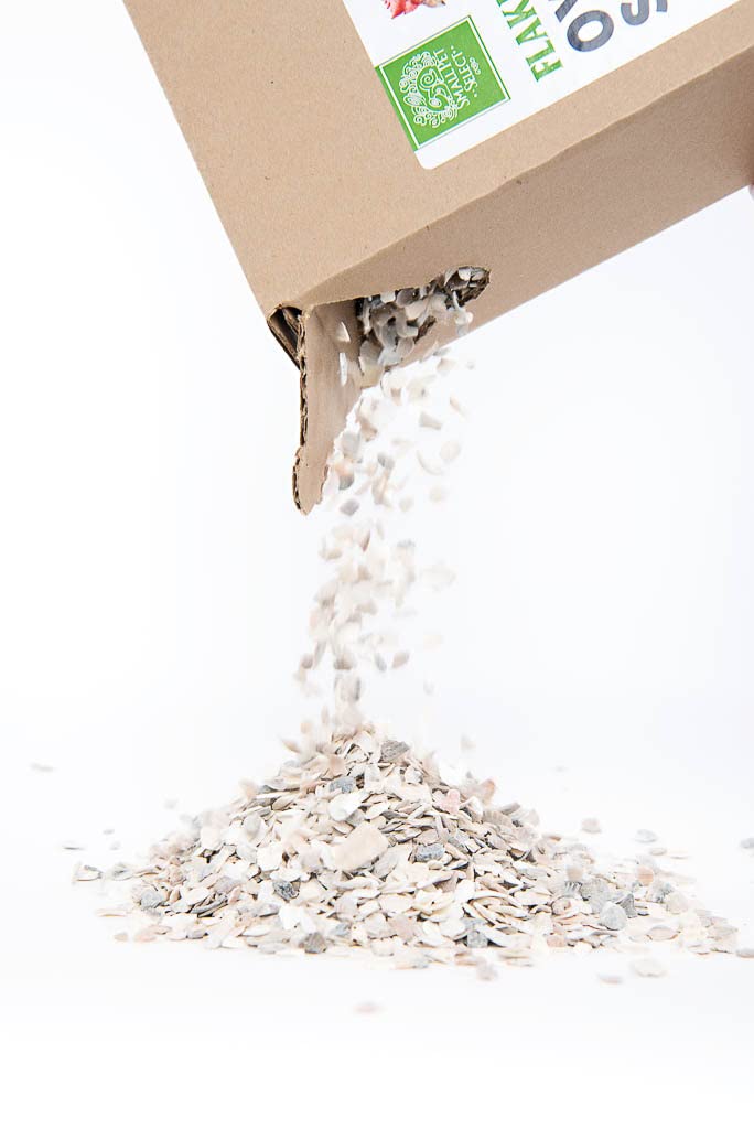 Small Pet Select Flaked Oyster and Seashell Mix-Calcium Supplement for Chickens & Ducks (5lb)