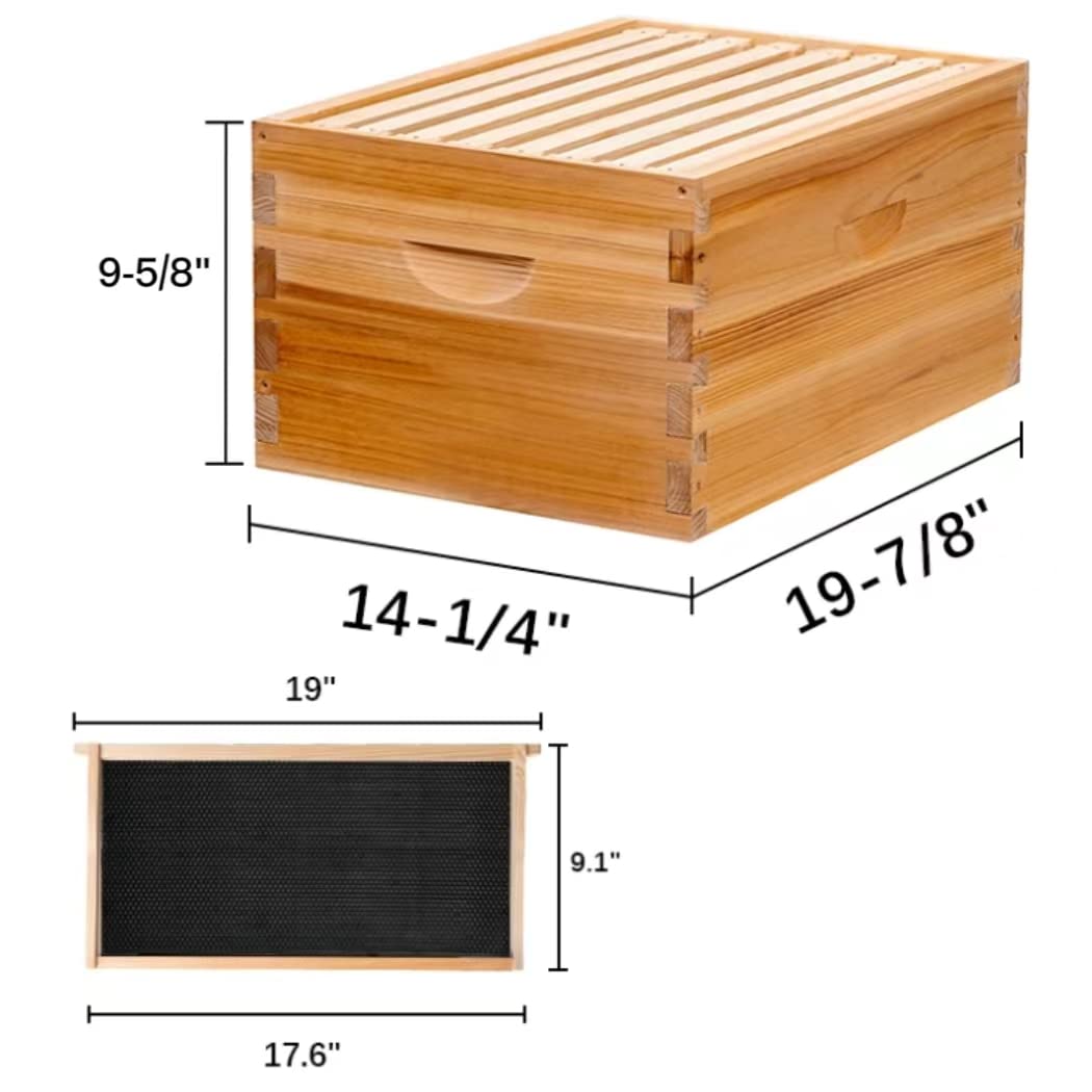 8-Frame Beehive Box Langstroth Deep Brood Box Dipped in 100% Beeswax Includes Wooden Frames & Waxed Foundations (Unassembled)