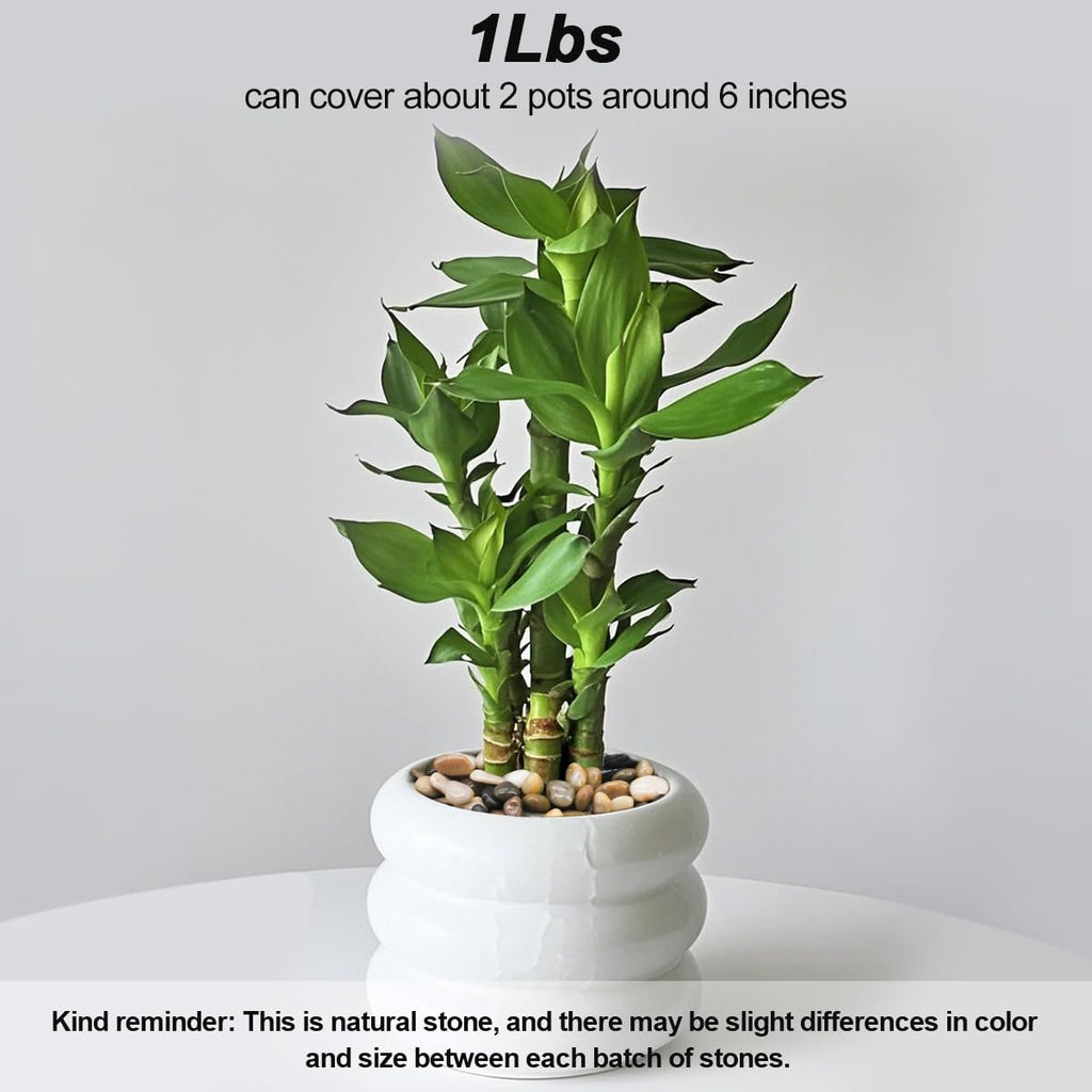 Terrarium Supplies,Virekm River Rocks, Decorative Ornamental Pebbles,Garden Landscaping Stones,Gravel Filler for Home Decoration Flower Bed Fish Tank Plants Vases Succulents