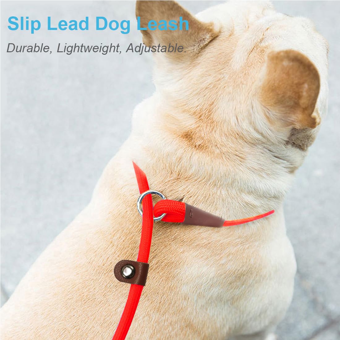 MayPaw Slip Lead Control Leash for Dogs No Pull, 13+ Colors Classic Dog Lead 7 FT Pet Slip Leash, 1/4” Rope Leashes for Small Medium Animals (7ft*1/4", Black)
