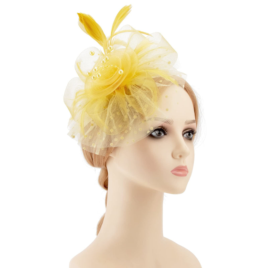 AQOKKA Women Fascinators Hats Flower Fascinators with Headband and Clip Tea Party Headwear for Women and Girls