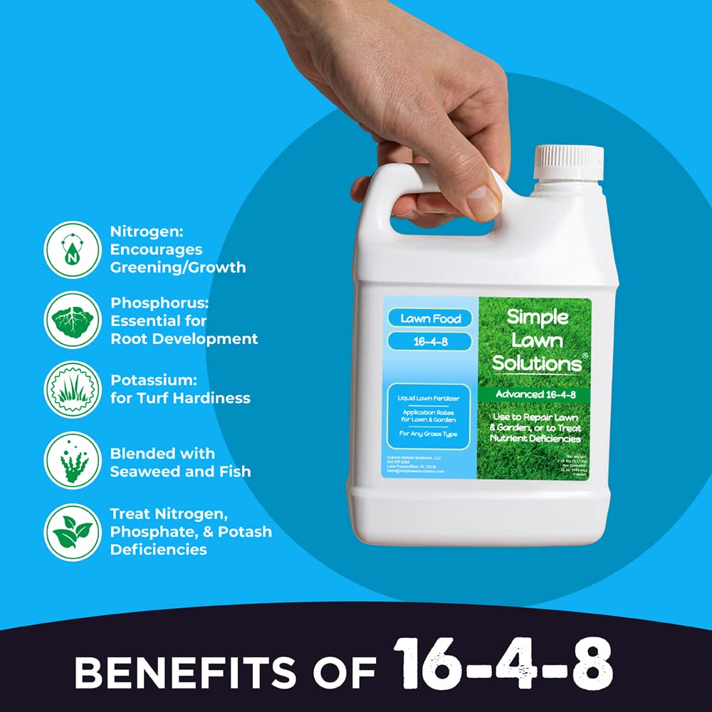 Advanced 16-4-8 Lawn Fertilizer - Liquid Lawn Food Spring & Summer Concentrated Spray - Any Grass Type- Fish and Seaweed Kelp- Balanced NPK - Simple Lawn Solutions (1 Gallon)