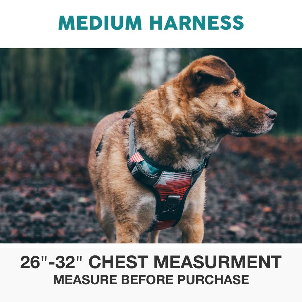 Embark Adventure Dog Harness for Small, Medium & Large Dogs – No Pull, Reflective Trim, Heavy Duty Oxford, 2 Leash Clips, Gel-Lined Handle, Soft Padded
