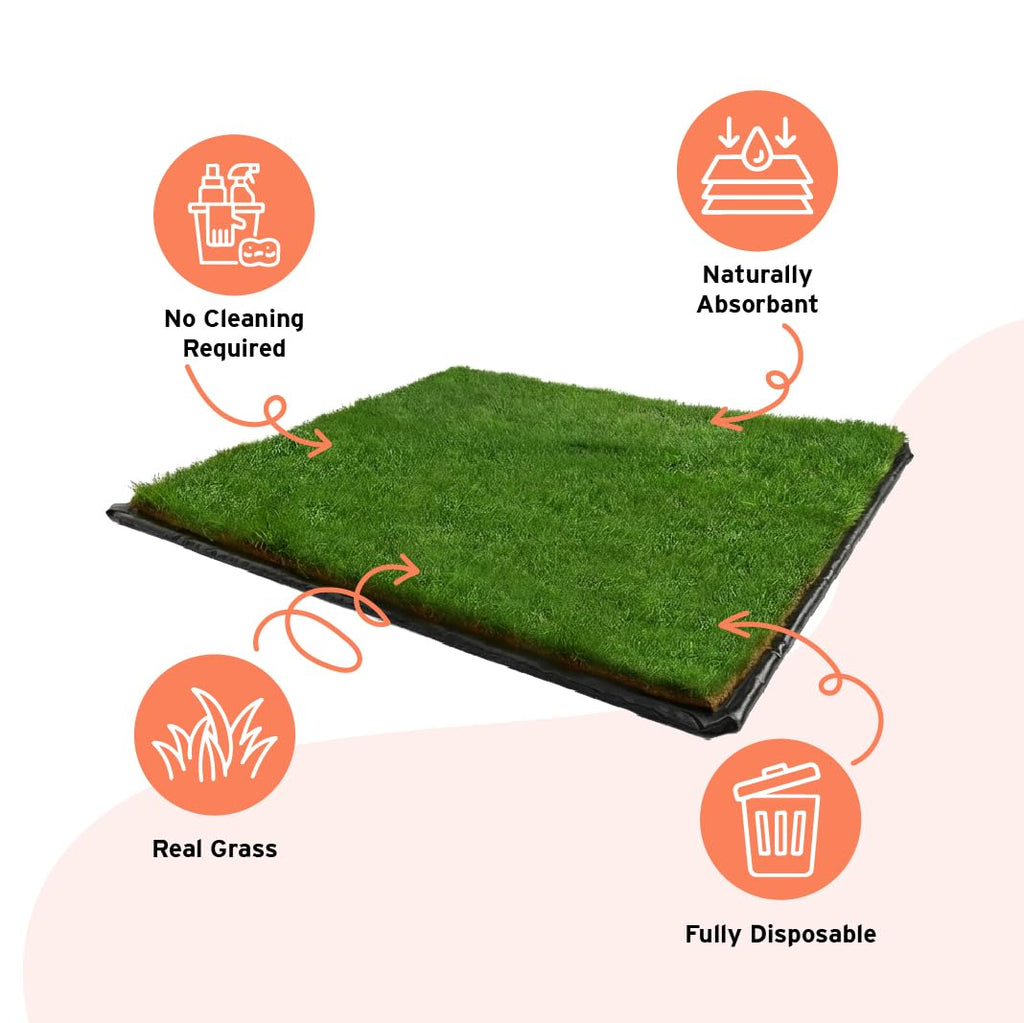 DoggieLawn XL - Real Grass Disposable Potty Training Puppy Pee Pads, Dog Grass Pee Pad, Potty Training Pee Pad, Puppy and Dogs Grass Pee Pads, Puppy Grass Pads, 48 x 24 Inches with Reusable FlexTray