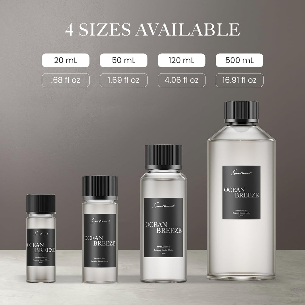 Scentiment French Hotel Diffuser Oil - Premium Hotel Scent with Notes of Clove, Patchouli & Sandalwood Home Scent, Aromatherapy Fragrance Oil Diffuser Refill - 0.68 fl oz (20 mL)