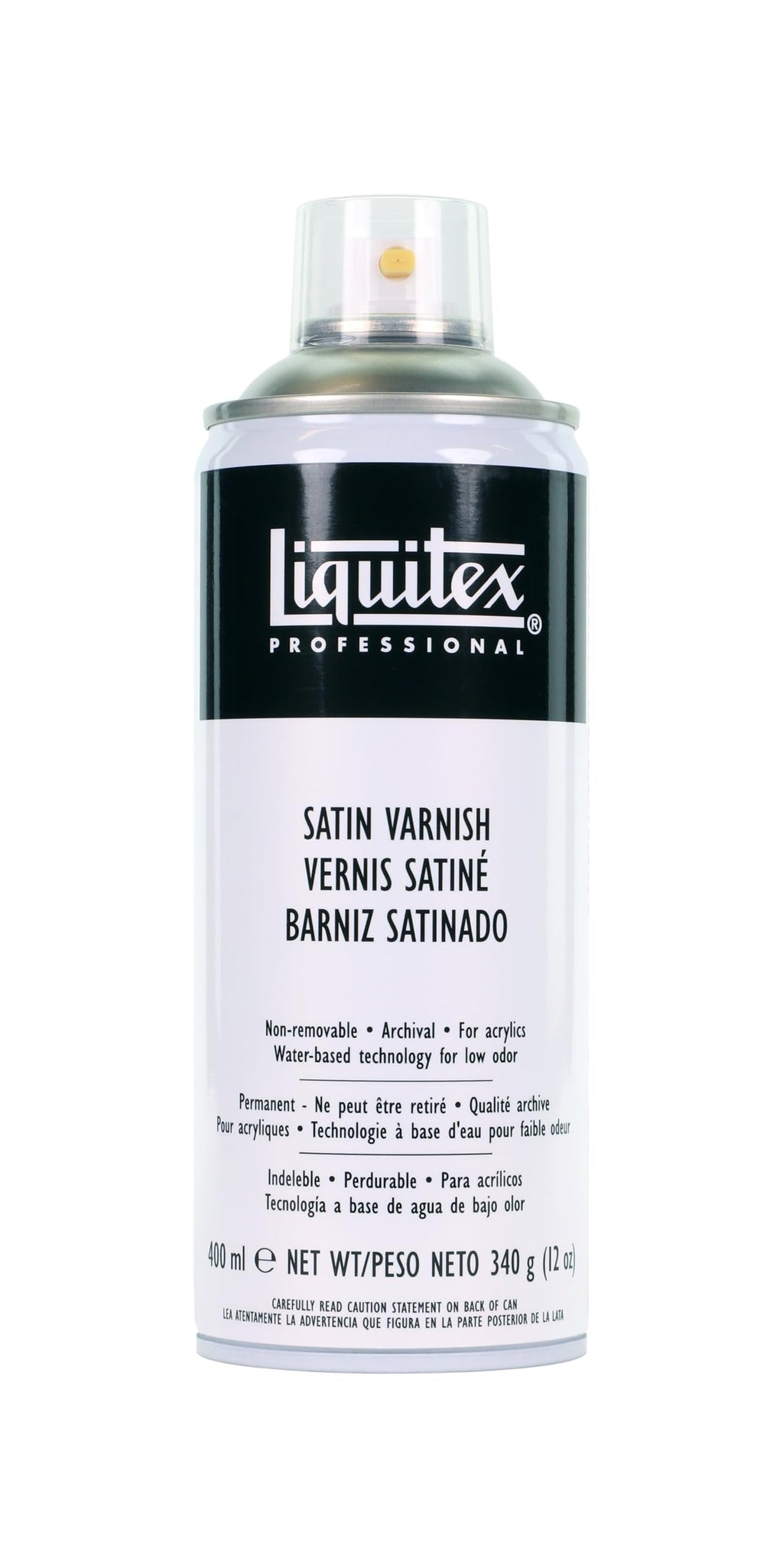 Liquitex Professional Gloss Varnish, 118ml (4-ozl