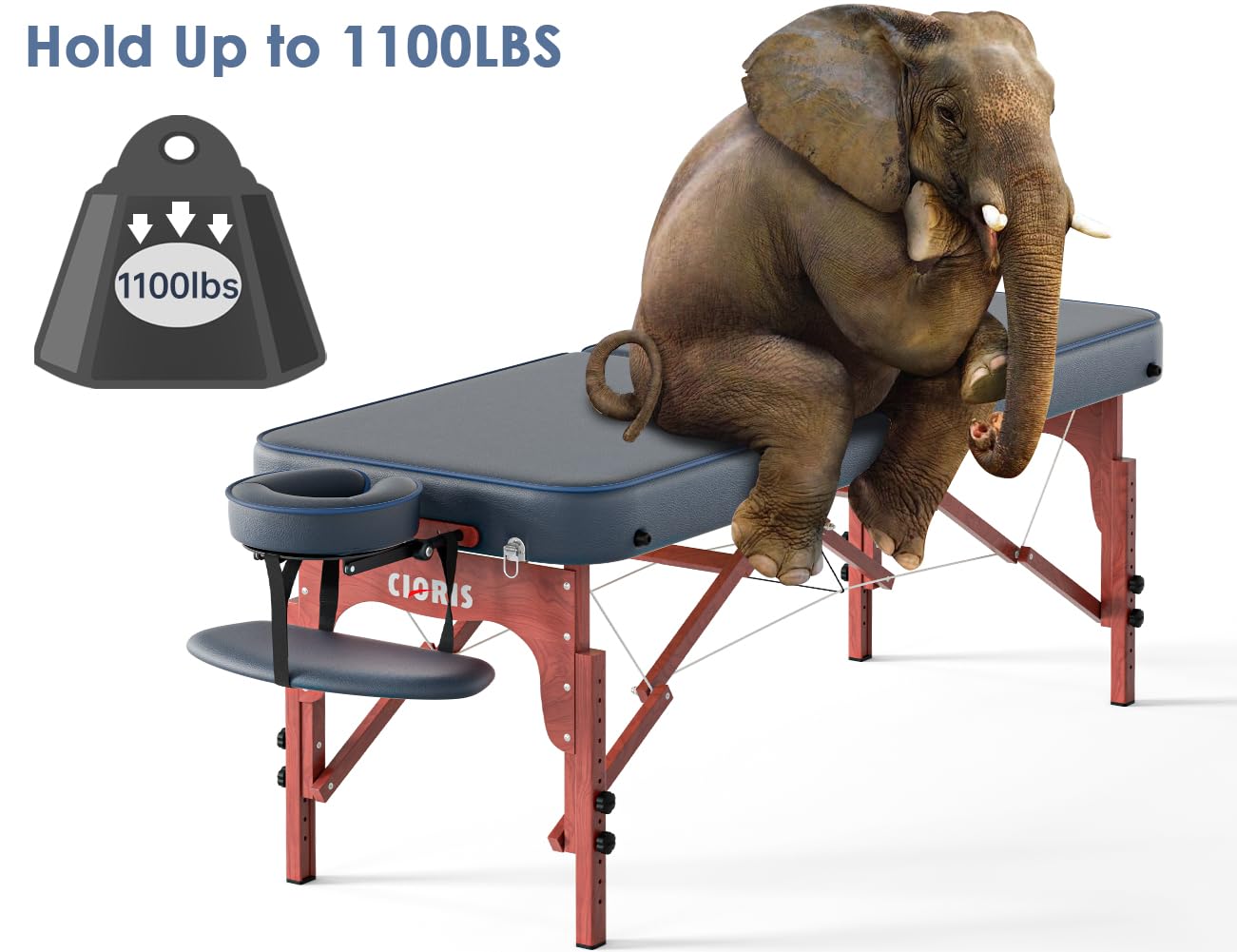 CLORIS 84" Professional Massage Table Portable Reinforced Wooden Leg 2 Folding Lightweight Spa Salon Tattoo Massage Bed Height Adjustable Hold Up to 1100LBS with Carrying Bag Black
