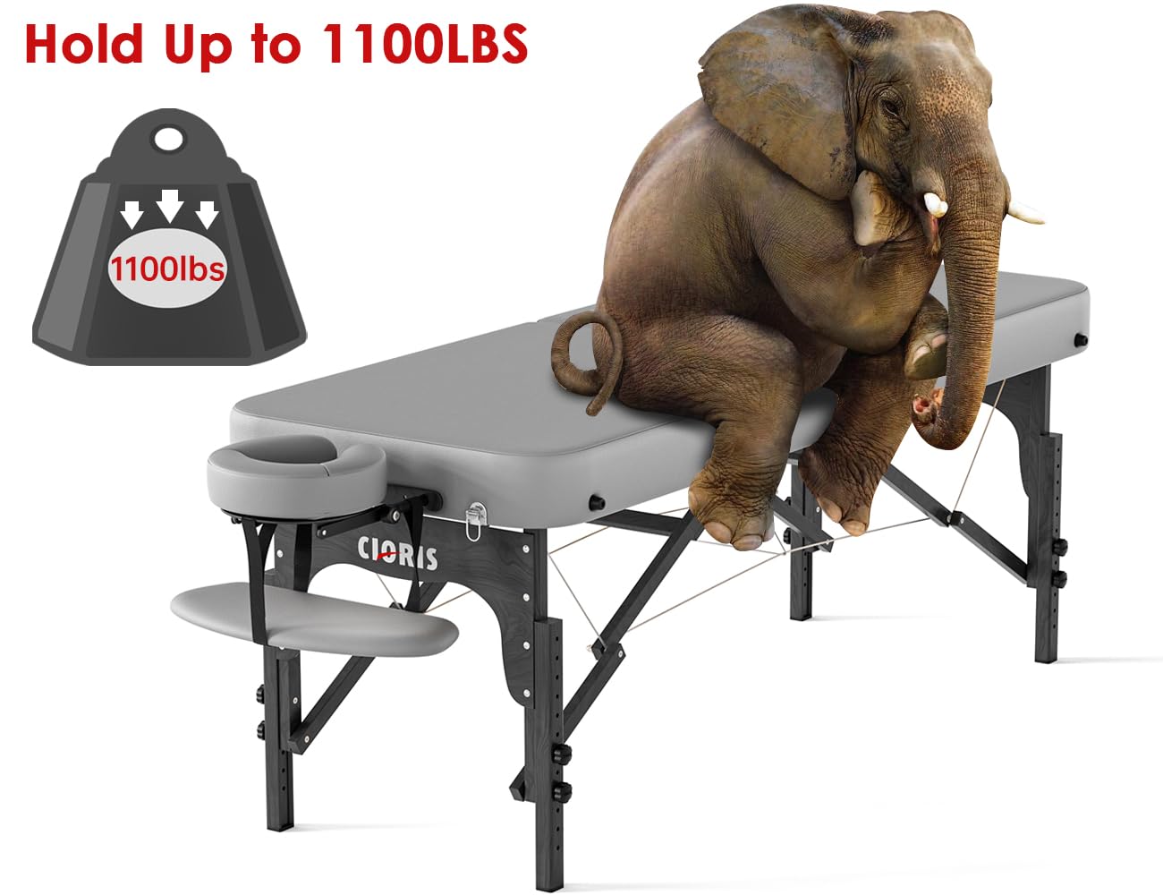 CLORIS 84" Professional Massage Table Portable Reinforced Wooden Leg 2 Folding Lightweight Spa Salon Tattoo Massage Bed Height Adjustable Hold Up to 1100LBS with Carrying Bag Black