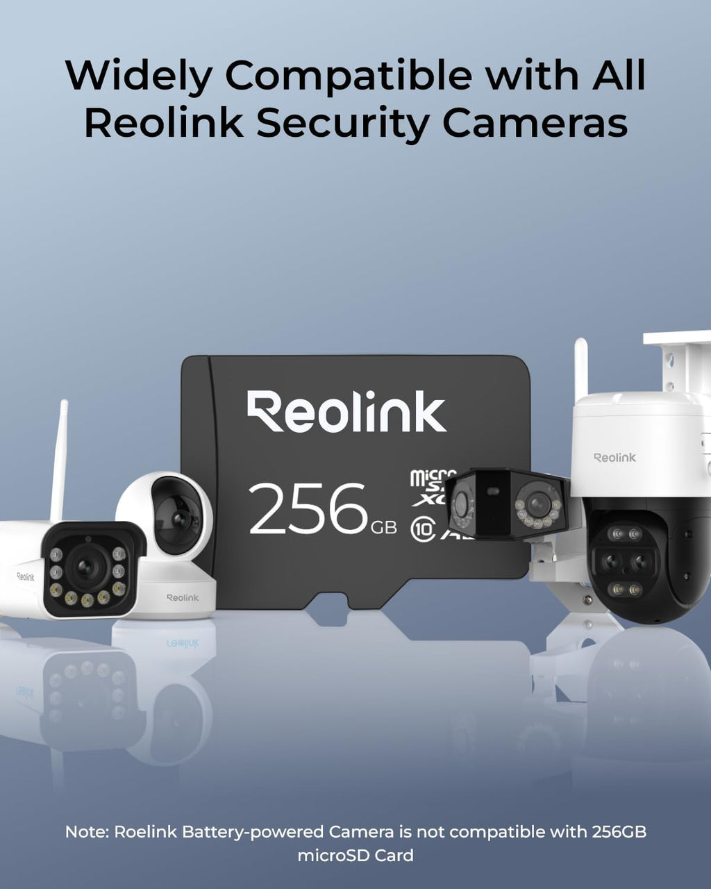 REOLINK 256GB microSDXC Memory Card, Up to 100MB/s, 4K UHD, U3, A2, V30, Class 10, FAT32, Micro SD Card Fully Compatible with Reolink Security Camera, Reolink PoE/WiFi/Battery Doorbell