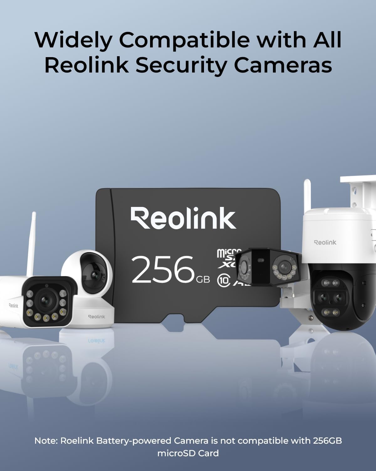 REOLINK 256GB microSDXC Memory Card, Up to 100MB/s, 4K UHD, U3, A2, V30, Class 10, FAT32, Micro SD Card Fully Compatible with Reolink Security Camera, Reolink PoE/WiFi/Battery Doorbell