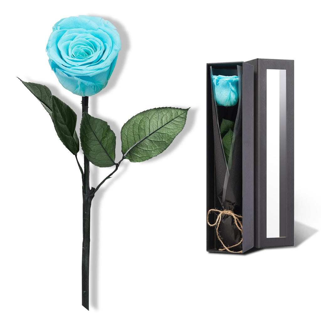 Flowers for Delivery Prime, Preserved Roses Flower Gifts for Women, Real Roses Single Rose Presents for Her, Mom Birthday Gifts from Daughter, Valentines Flowers Red Roses
