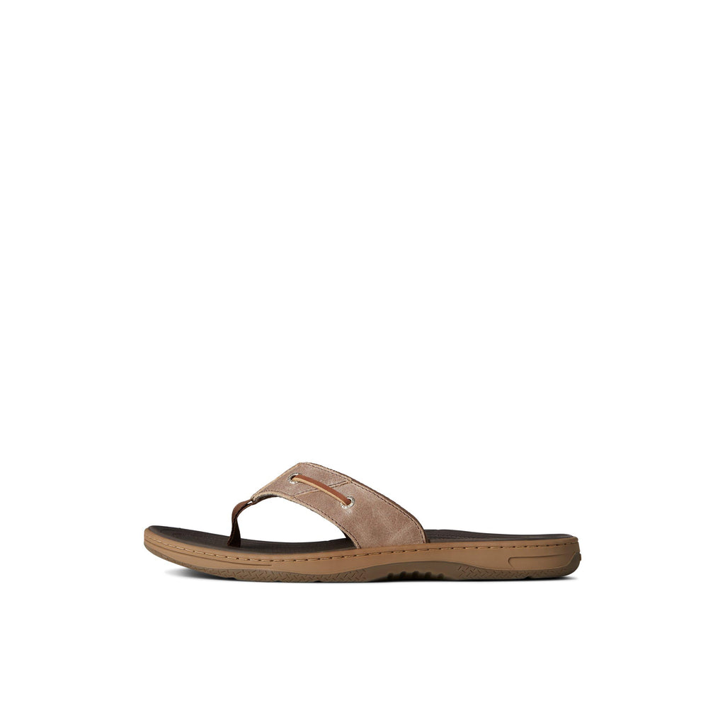 Sperry mens Baitfish ThongSandals