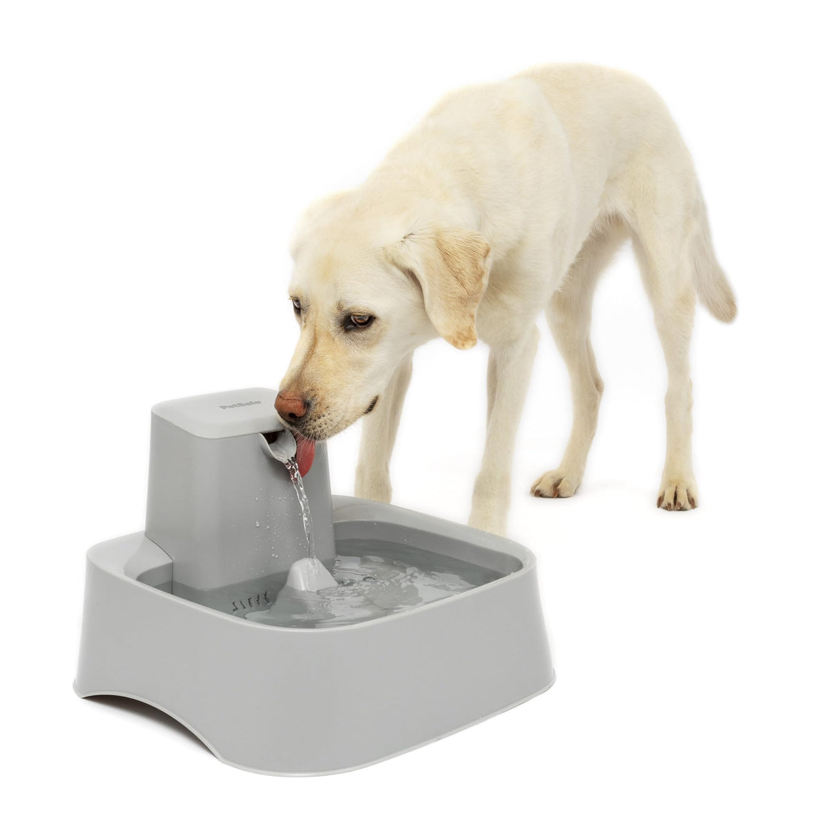 PetSafe Oasys 1 Gallon (128 Ounce) Pet Fountain - Cat or Small to Medium Breed Dog Water Fountain - Dishwasher Safe Filtered Water Dispenser with Flow Control - Filters Included - Easy to Clean
