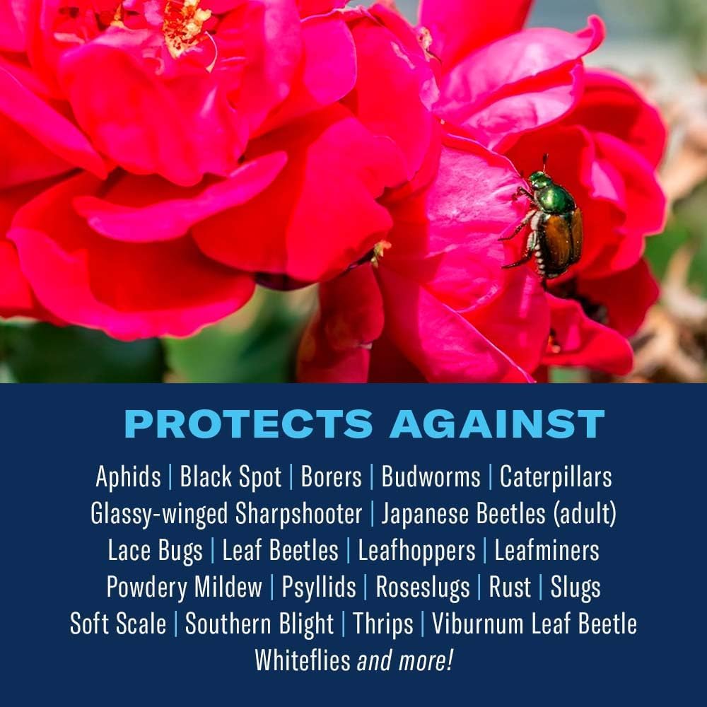 BioAdvanced All-In-One Rose and Flower Care Fertilizer, Concentrate, 32 oz, Rose Fertilizer and Disease Control