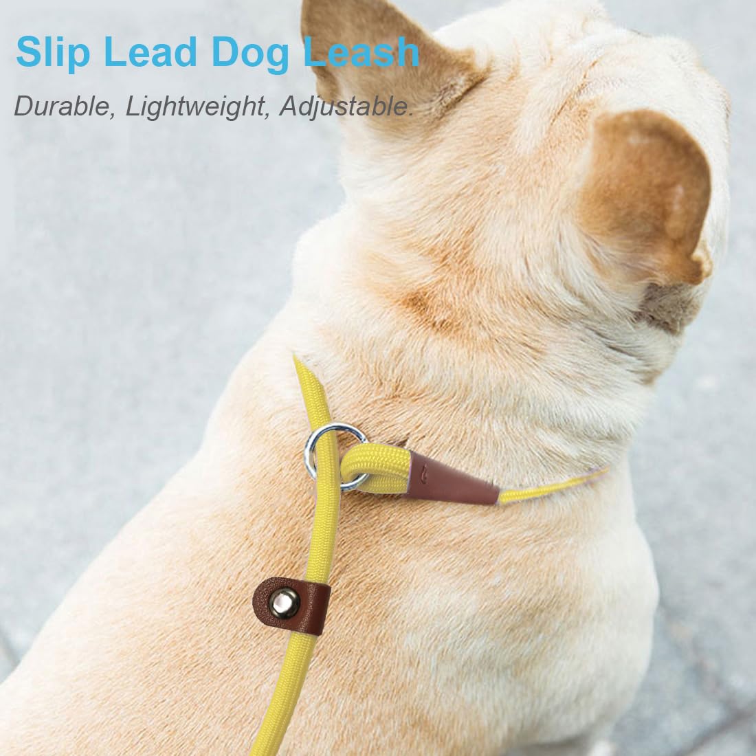 MayPaw Slip Lead Control Leash for Dogs No Pull, 13+ Colors Classic Dog Lead 7 FT Pet Slip Leash, 1/4” Rope Leashes for Small Medium Animals (7ft*1/4", Black)
