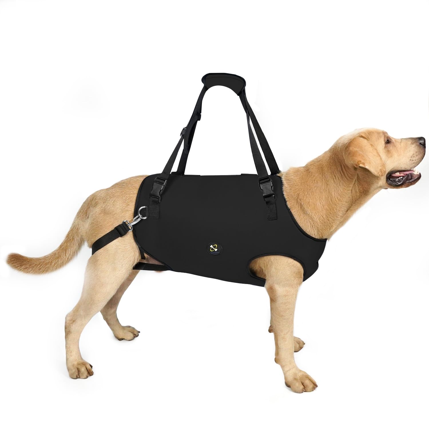Coodeo Dog Lift Harness, Pet Support & Rehabilitation Sling Lift Adjustable Padded Breathable Straps for Old, Disabled, Joint Injuries, Arthritis, Loss of Stability Dogs Walk (Black, XS)