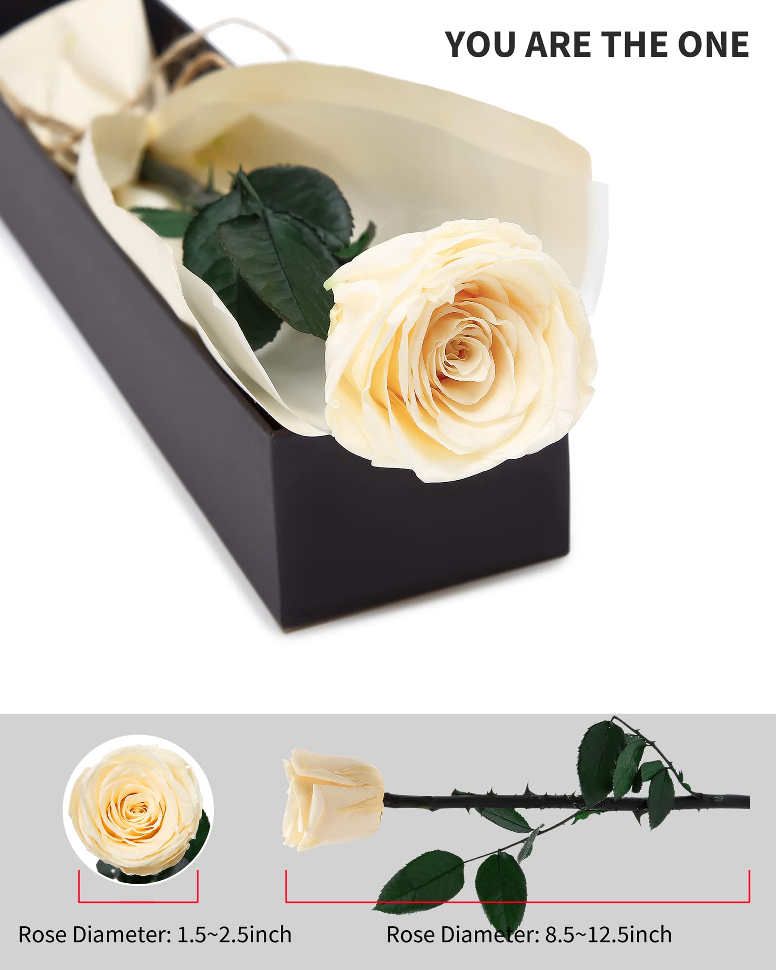 Flowers for Delivery Prime, Preserved Roses Flower Gifts for Women, Real Roses Single Rose Presents for Her, Mom Birthday Gifts from Daughter, Valentines Flowers Red Roses