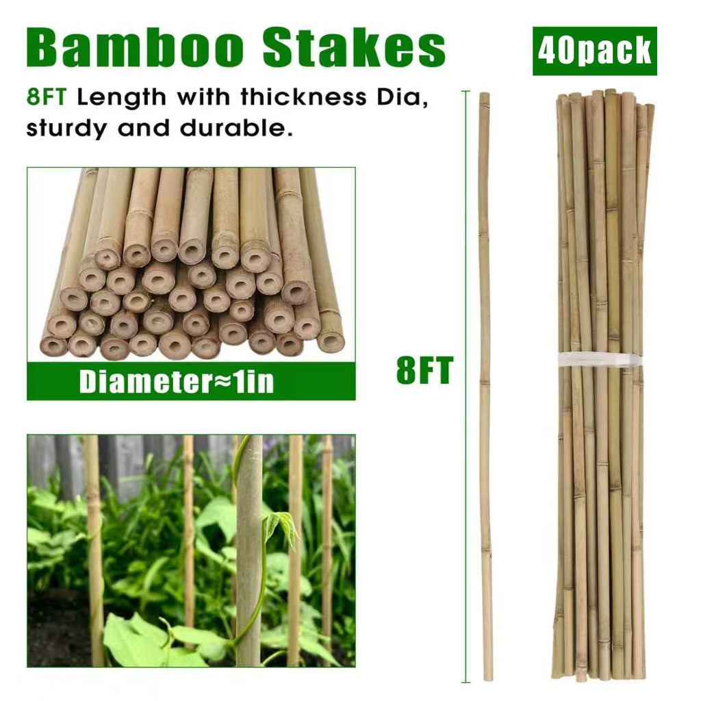 Plant Bamboo Post,3Feet,Bamboo Garden Stakes,50PcsBamboo Stakes,for Tomato,Beans,Vegetable and Flowers, Potted Plants,Indoor and Outdoor Climbing Plants