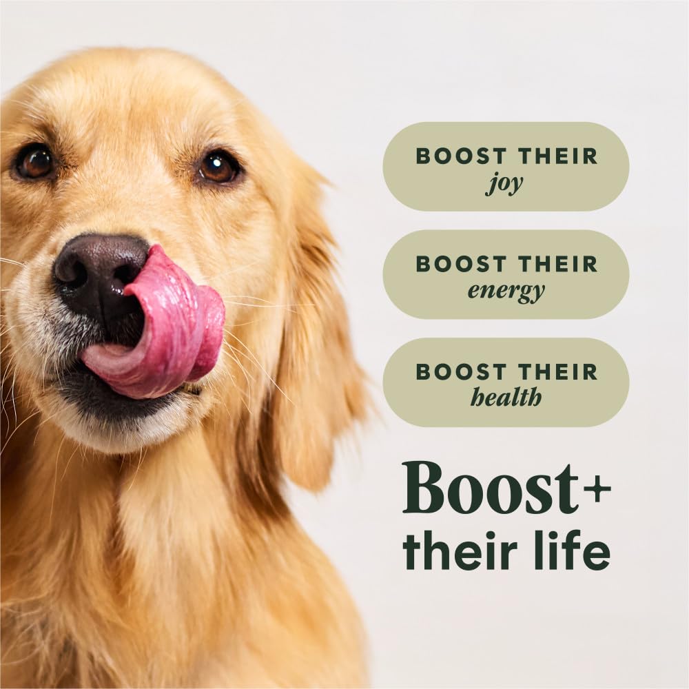 Instinct RawBoost Gut Health, Natural Dry Dog Food with Freeze-Dried Pieces, High Protein, Grain-Free Recipe - Real Chicken, 3.5 lb. Bag