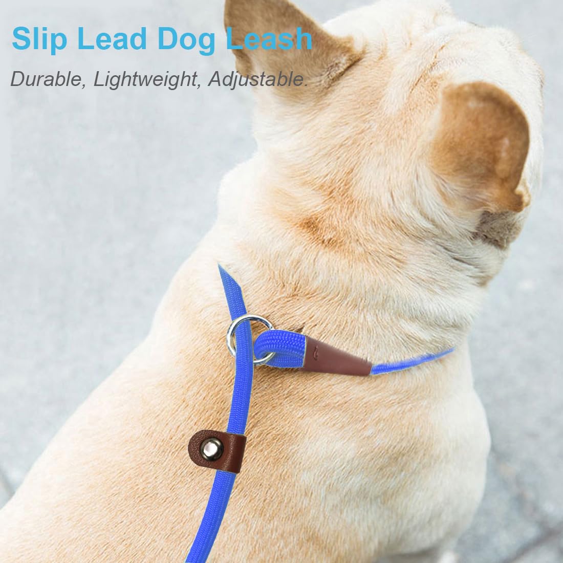 MayPaw Slip Lead Control Leash for Dogs No Pull, 13+ Colors Classic Dog Lead 7 FT Pet Slip Leash, 1/4” Rope Leashes for Small Medium Animals (7ft*1/4", Black)