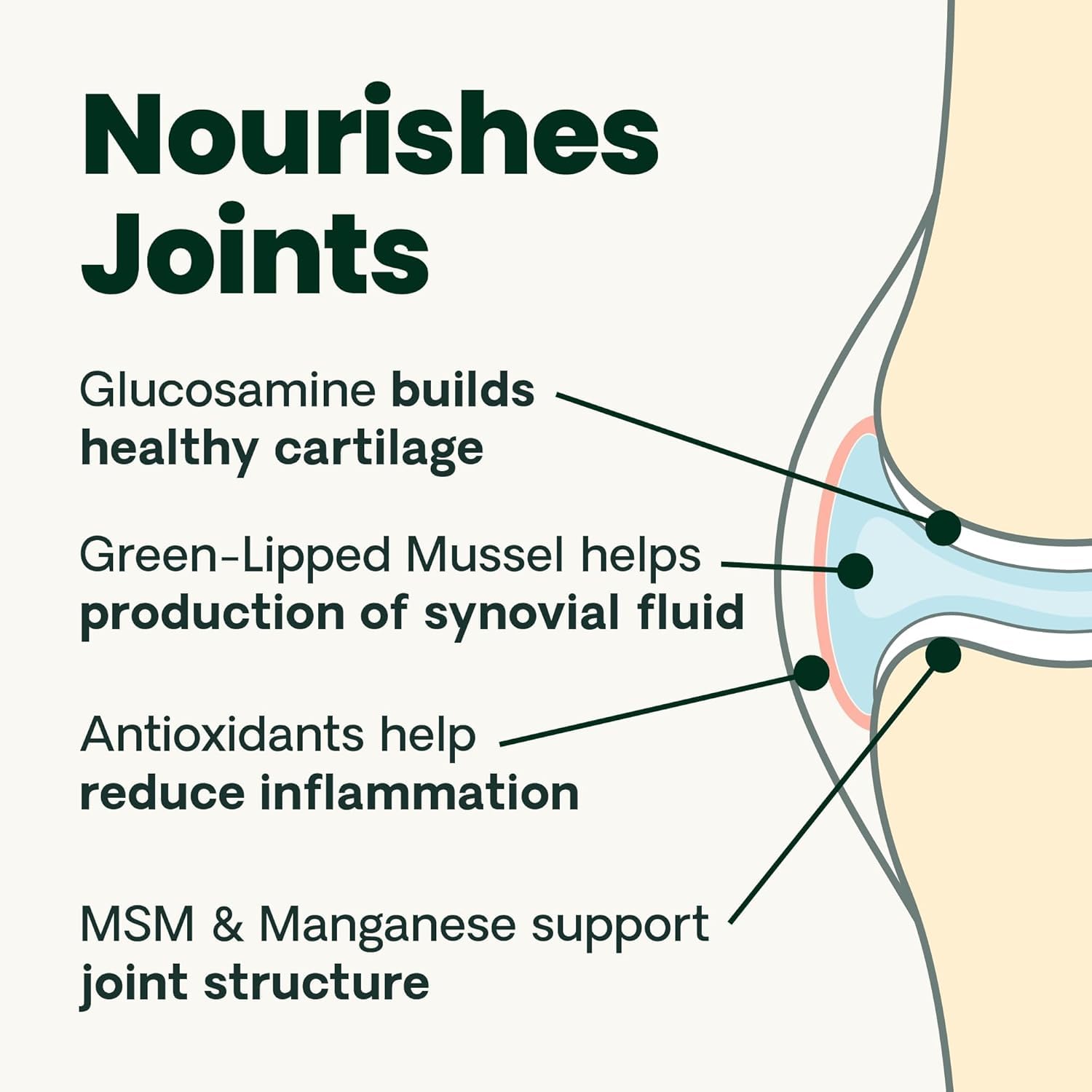 VetriScience Glycoflex 3 Vet Strength Glucosamine for Dogs Hip and Joint Supplement - Clinically Proven Mobility and Joint Supplement with MSM, DMG and Green Lipped Sea Mussel, Chicken, 60 Chews