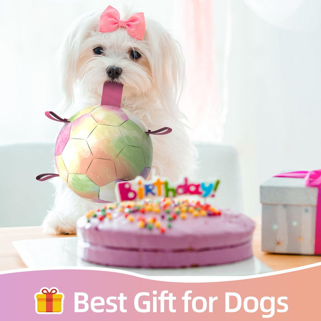 QDAN Dog Toys Soccer Ball with Straps, Durable Dog Balls for Tug of War, Puppy Birthday Gifts, Dogs Water Toy Small Dogs-Rainbow（5 Inch）
