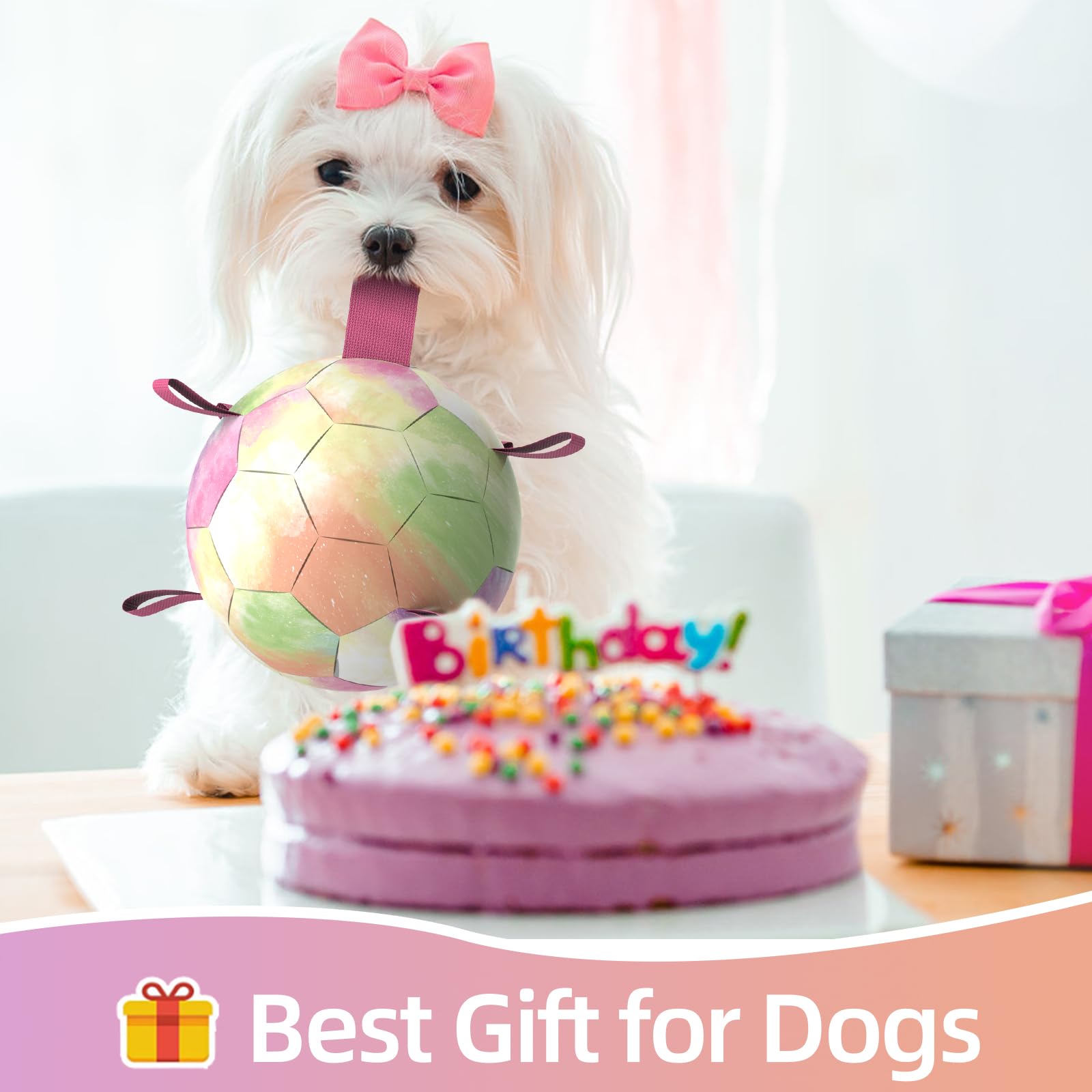 QDAN Dog Toys Soccer Ball with Straps, Durable Dog Balls for Tug of War, Puppy Birthday Gifts, Dogs Water Toy Small Dogs-Rainbow（5 Inch）