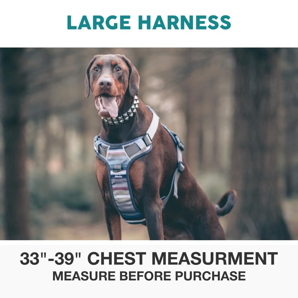 Embark Adventure Dog Harness for Small, Medium & Large Dogs – No Pull, Reflective Trim, Heavy Duty Oxford, 2 Leash Clips, Gel-Lined Handle, Soft Padded