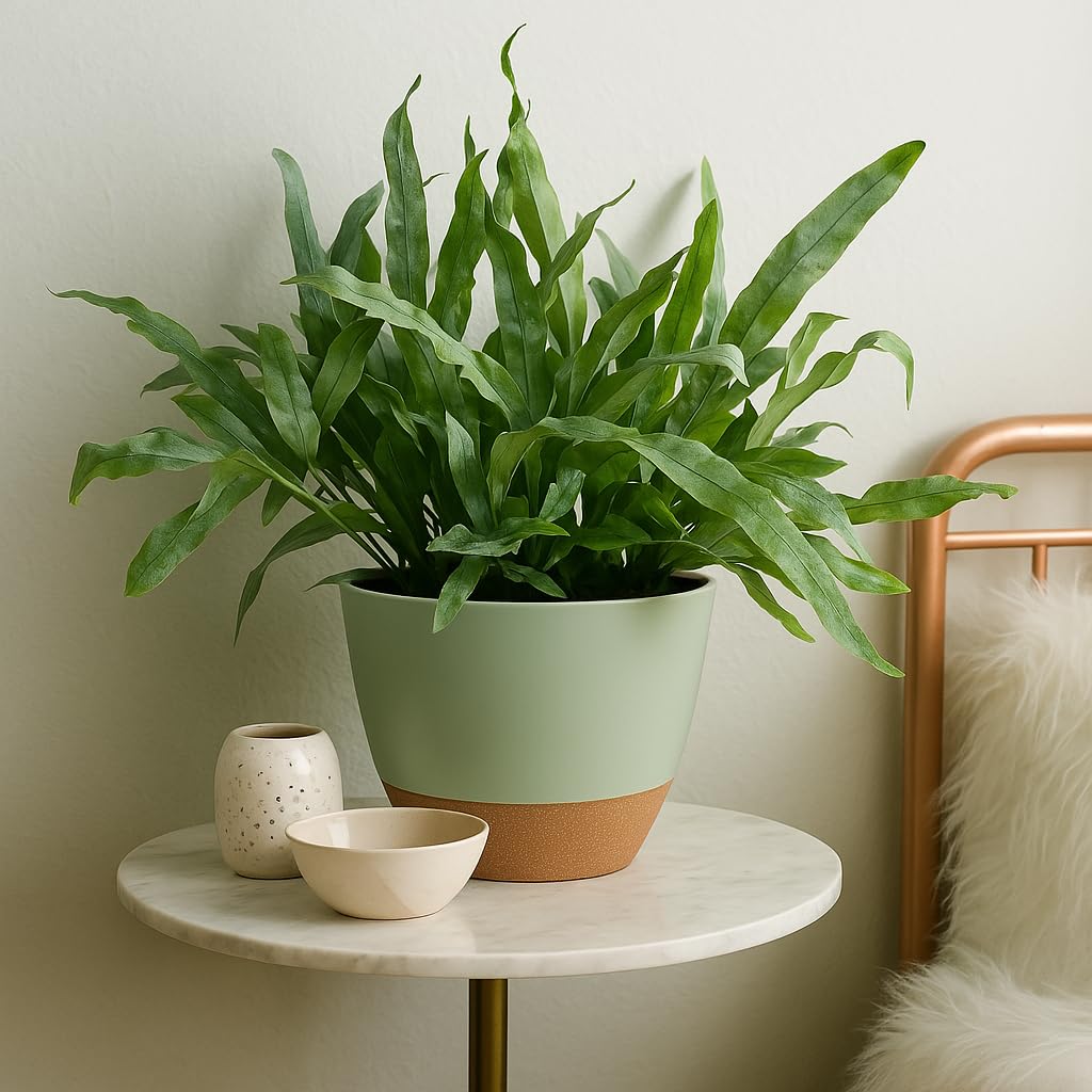 TYMENSH Plant Pots 12/10/9 Inch Set of 3, Self Watering Planters with Drainage Holes and Water Reservoir, Heavy Duty Plastic Flower Pots for Indoor Outdoor Plants, Green