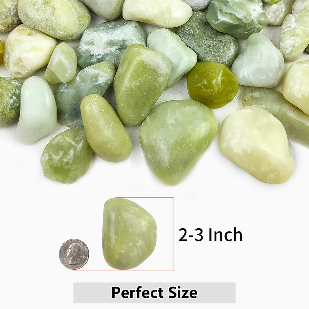 YISZM 5lbs Black Pebbles for Plants, 2-3 Inch High Polished Natural Large River Rocks for Landscaping, Decorative Stones Vase Filler Fish Tank Aquariums Garden Outdoor and Indoor DIY